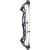 Compound Hoyt concept x 37 black limbs
