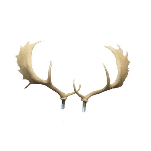 SRT 3D TARČA ŽIVALI rezervni rogovi - FALLOW DEER
